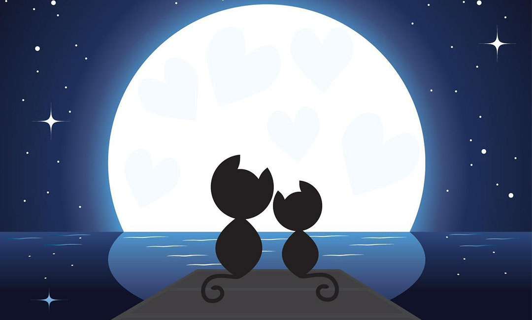 马鞍山潮客汇微信活动策划案例